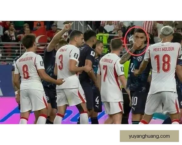 伊布谈阿尔米隆红牌戴口套风波